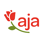aja Strandhotel Bansin