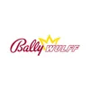 BALLY WULFF Games & Entertainment GmbH