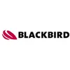Blackbird Robotersysteme GmbH