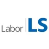 Labor LS SE & Co. KG