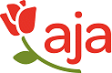 aja Strandhotel Bansin
