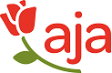 aja Strandhotel Bansin